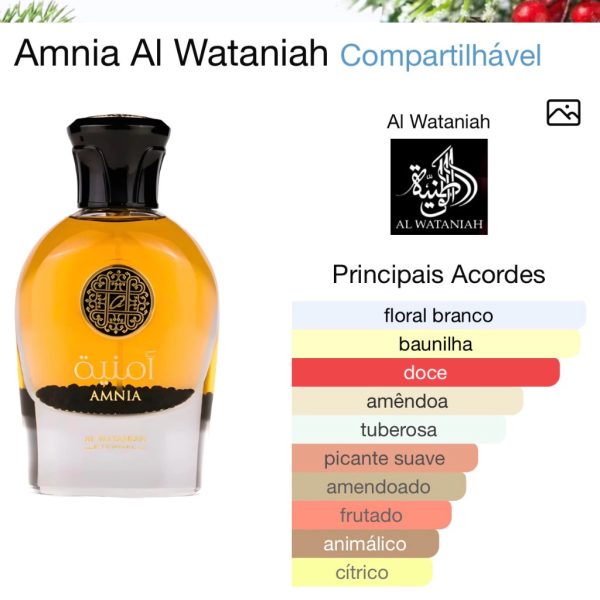 Amnia Al Wataniah 100ml Eau de Parfum